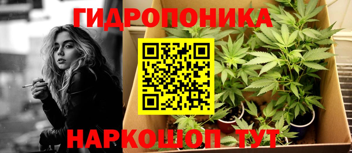 Владимир  Шишки марихуана White Widow  Каннабис Bruce Banner  Вход с VPN  Шишки марихуана марихуана 